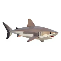 Mako