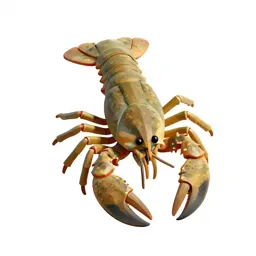 Malacostracan crustacean