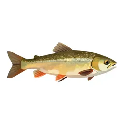 Minnow