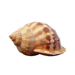 Mollusk