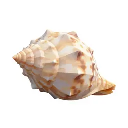 Moon shell