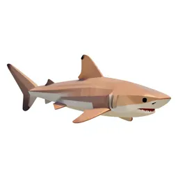 Nurse shark