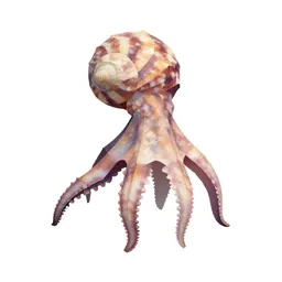 Paper nautilus