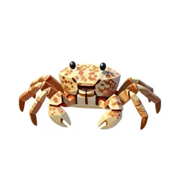 Pea crab