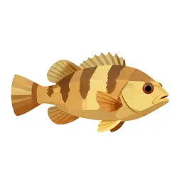 Rabbitfish