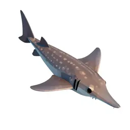 Sawfish