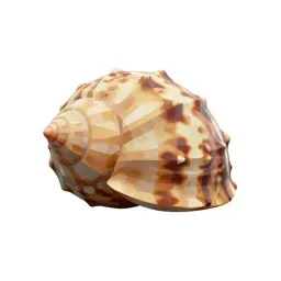 Scaphopod