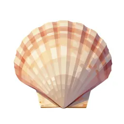 Sea scallop