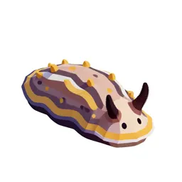 Sea slug