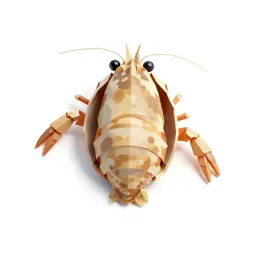 Seed shrimp