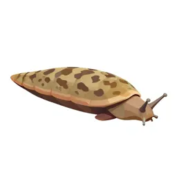 Slug