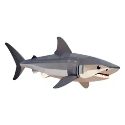 Smalleye hammerhead