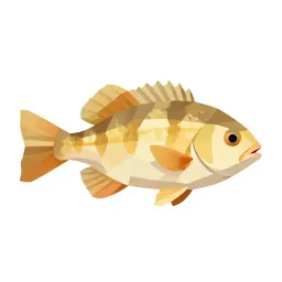 Soft-finned fish