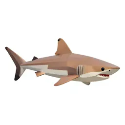 Soupfin shark