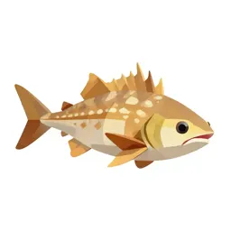 Spiny dogfish