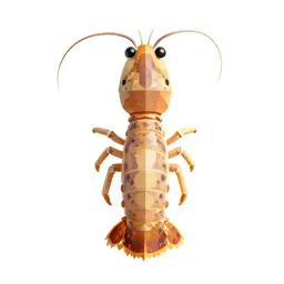 Squilla