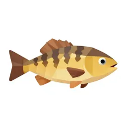 Stickleback