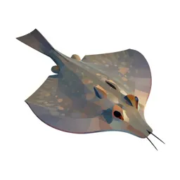 Stingray