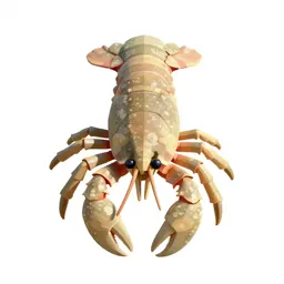 Stomatopod