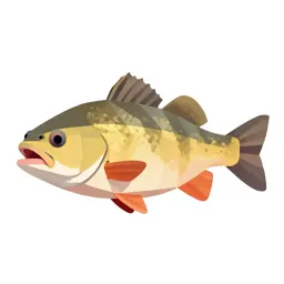Sucker