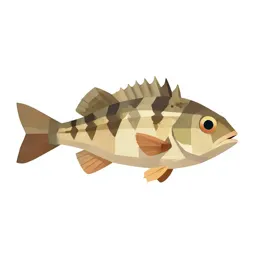 Ten-spined stickleback