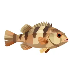 Three-spined stickleback