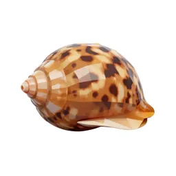 Tiger cowrie