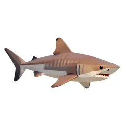 Tiger shark