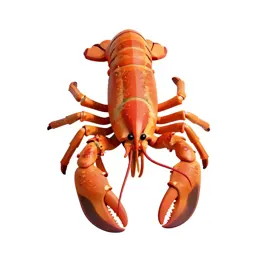 True lobster