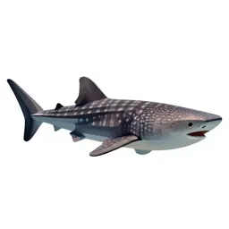 Whale shark