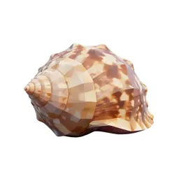 Whelk