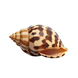 Zebra mussel