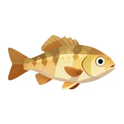 Anomalops