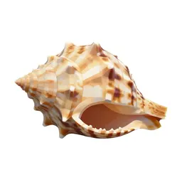 Ark shell