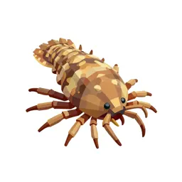 Isopod