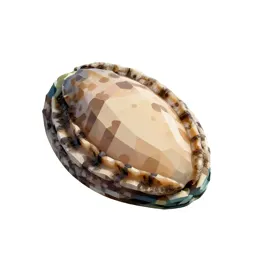 Ormer