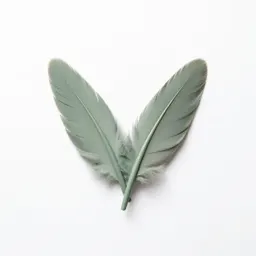 Bastard wing
