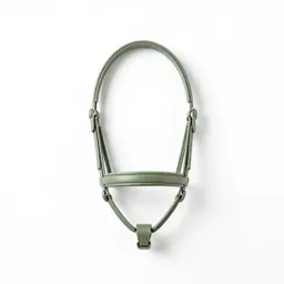 Bridle