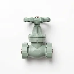 Butterfly valve
