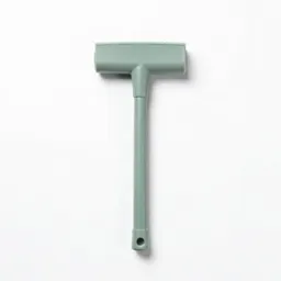Cane