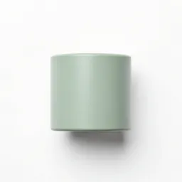 Capacitor