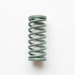 Coil spring