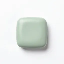 Cosmetic