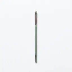 Darning needle