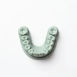 Dental appliance