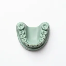 Denture
