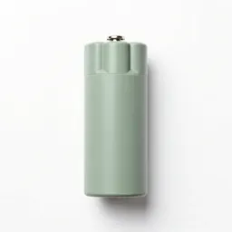 Detonator