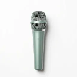 Directional microphone