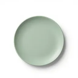 Disk