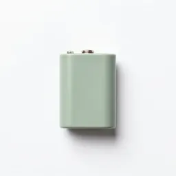 Dry cell